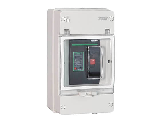 BDM 250 IP65