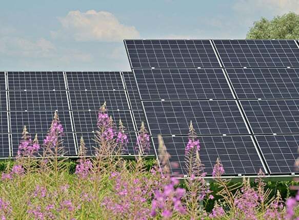 Solar panels in open ground