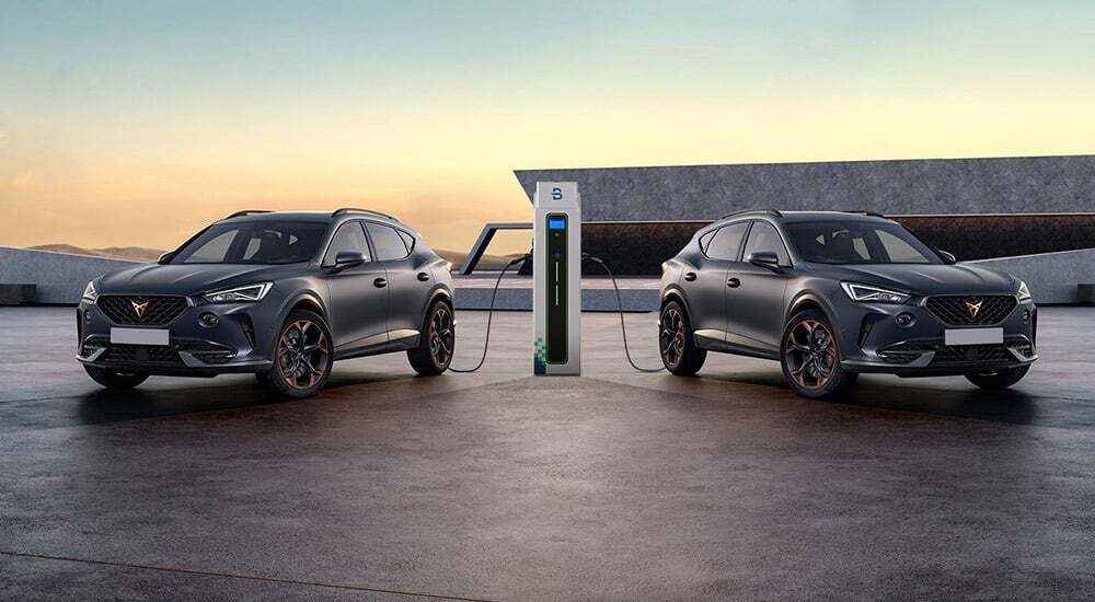 交流双枪立式封面