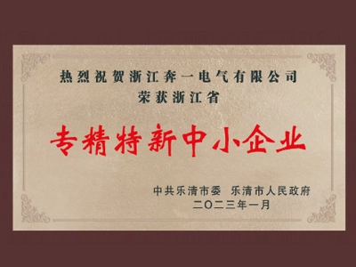 Specialized and Special New Enterprise