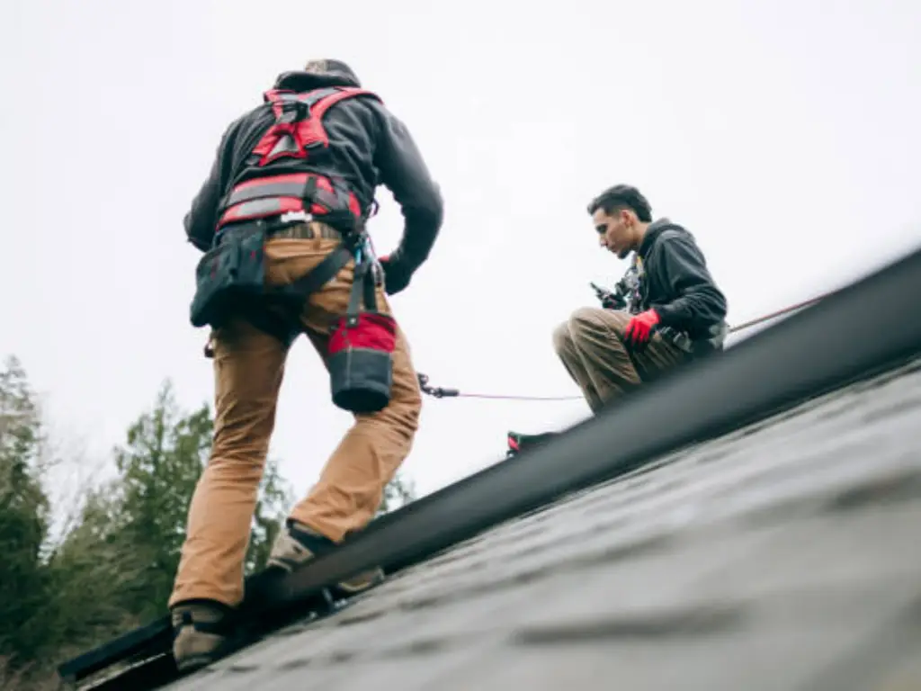 Pros and Cons of Solar Panels on the Roof (2)