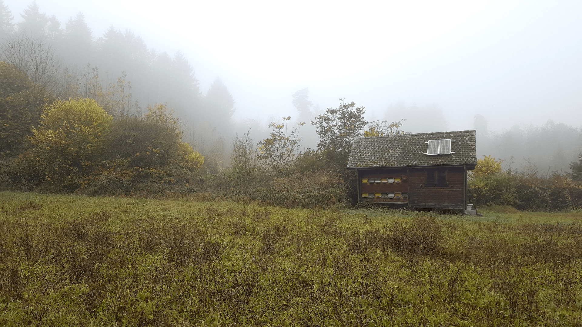 Cottage with Solar Panel