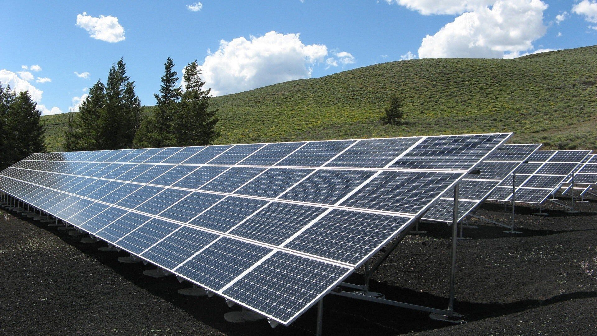 Solar Panels Exposed To Sunlight